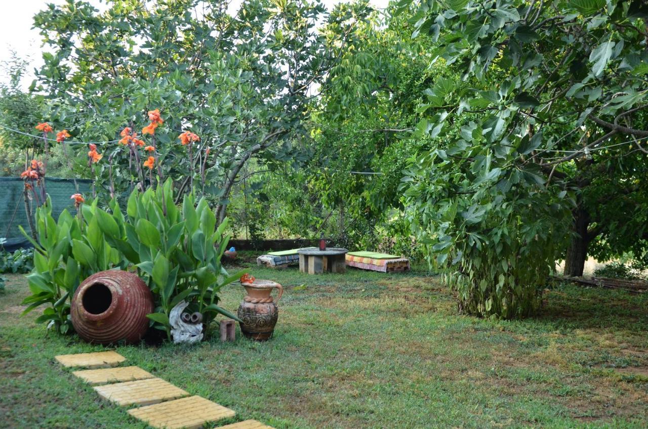 Doloi Garden House Vila Málta Exterior foto